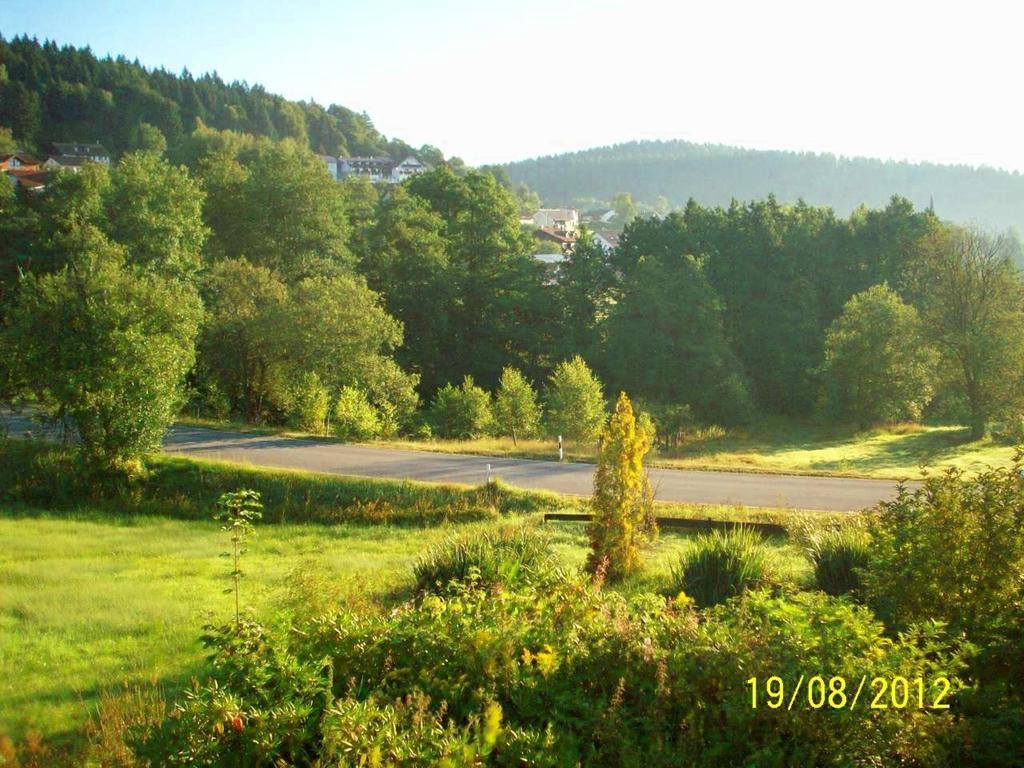 Zum Fliegenden Hollander Hostal Zwiesel Exterior foto